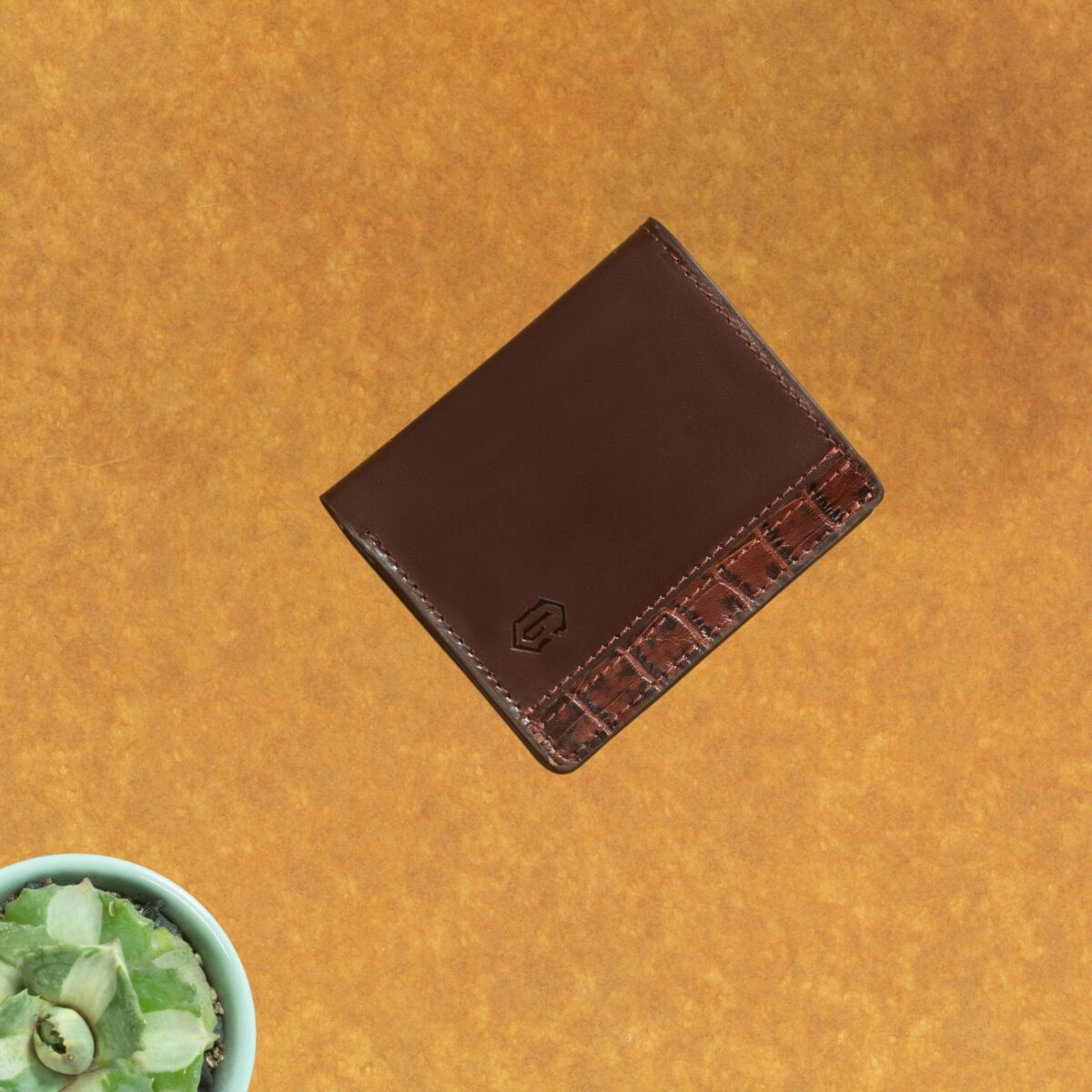 Napoleon Modern – Contemporary Leather Wallet Chocolate Brown - Image 5